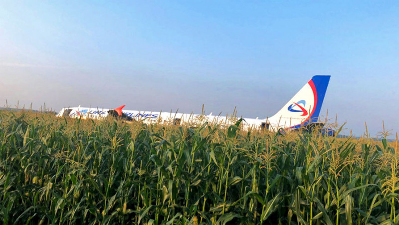 Посадка Airbus в кукурузном поле: как это было (видео)
