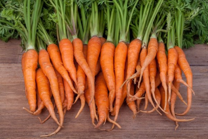 В чём польза моркови?