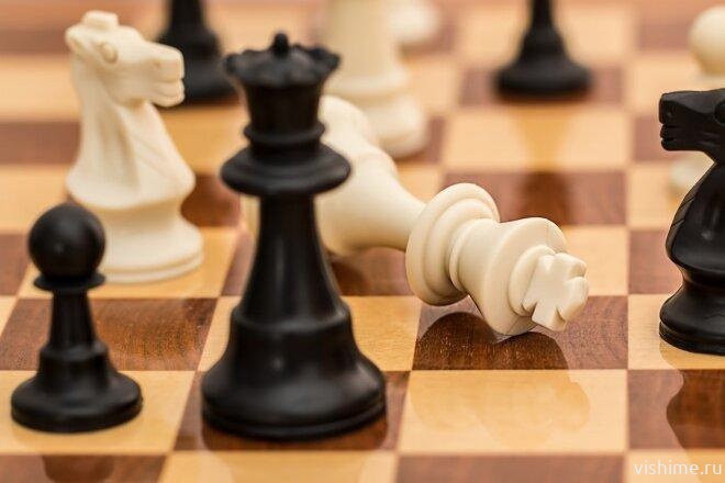 Ишимские шахматисты стали призёрами первенства "Белая ладья"