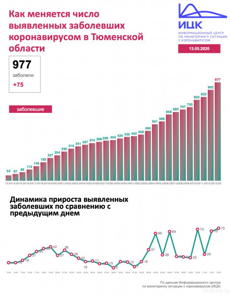 10 028 россиян заболело коронавирусной инфекцией за сутки