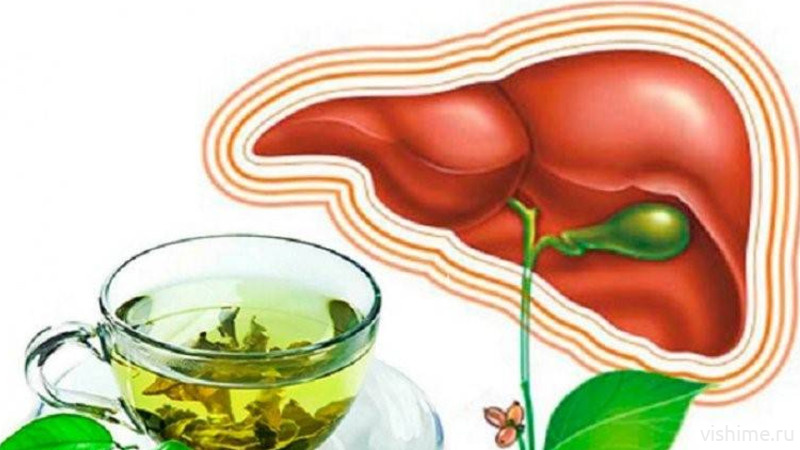 10 продуктов для здоровья печени