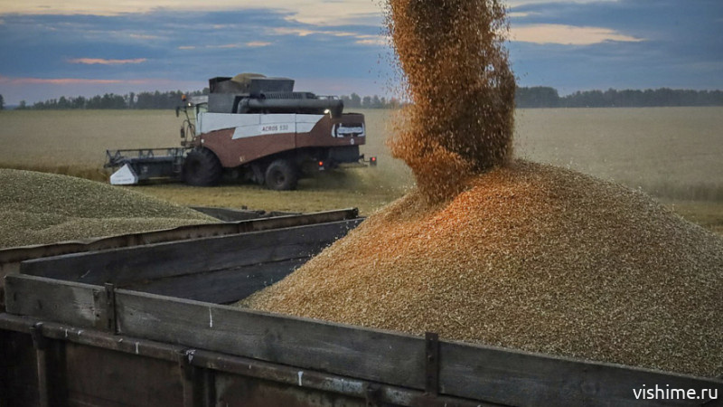 Аграрии Ишимского округа собрали более 60 % урожая