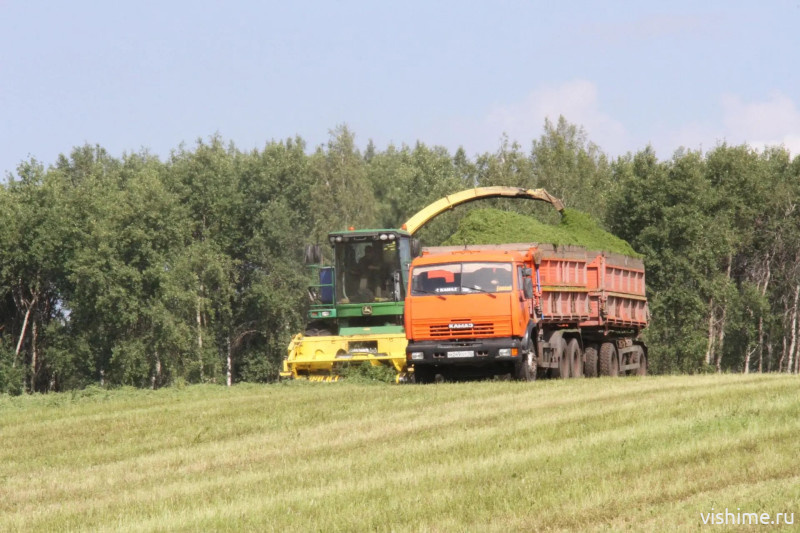 В Ишимском округе закончилась кормозаготовительная кампания 