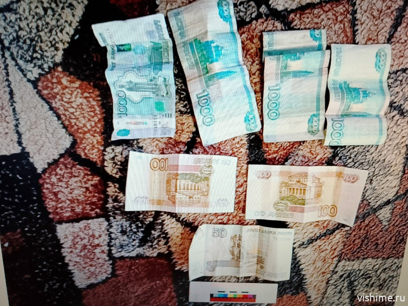  Ишимские полицейские раскрыли кражу в Викулово