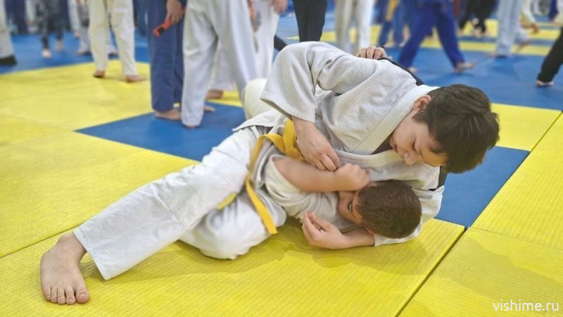 Турнир по дзюдо на приз Деда Мороза собрал 210 юных спортсменов в Стрехнино