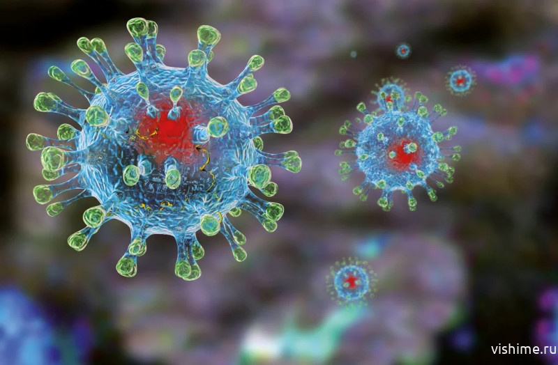 Новых случаев коронавирусной инфекции в Ишиме нет уже 2 дня