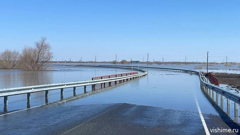 Критическая отметка пройдена: Ишим стремительно растёт и уже выходит на территорию
