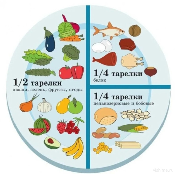 Правила здоровой тарелки