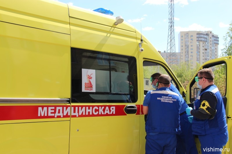 Змеиный укус – два случая за сутки