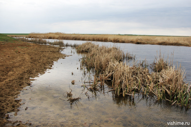 «Малые реки пошли на убыль»: паводковая ситуация в Ишиме остается стабильной