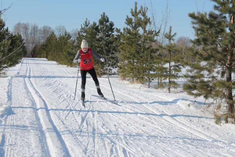 Итоги соревнований по лыжным гонкам в с. Плешково