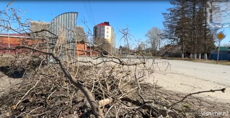 Три способа утилизации веток: памятка для жителей Ишима