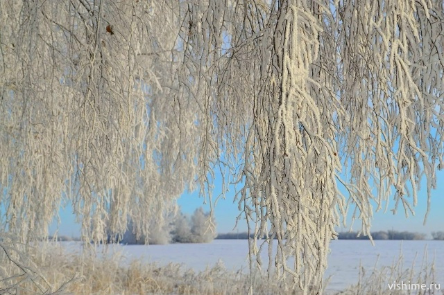 Стартовал фотоконкурс к 95-летию Ишимского округа