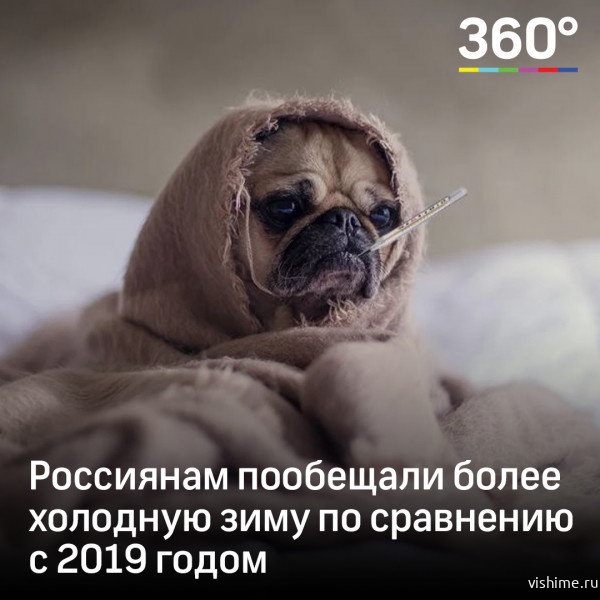 Россиян предупредили о холодной зиме 2020-2021