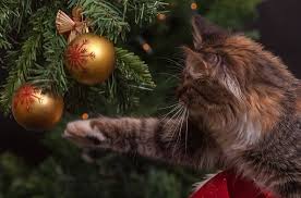 Когда и как убрать ёлку