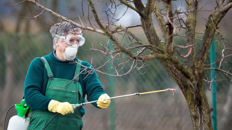 5 этапов обработки сада весной