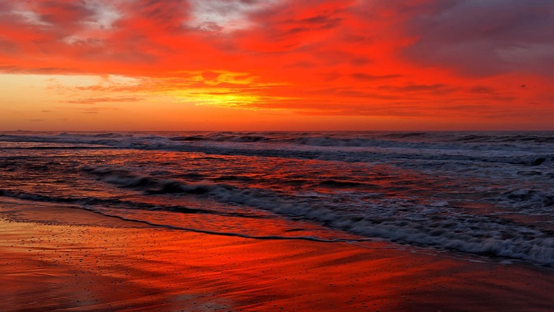 10 внезапных фактов о Красном море