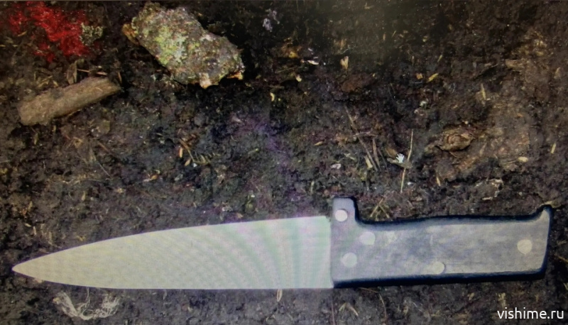 В Ишимском районе сестра ударила брата ножом