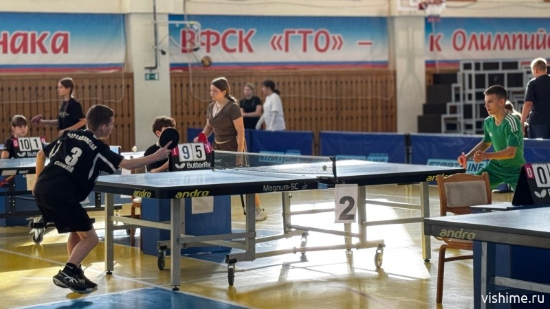Школьники Ишимского округа состязались в настольный теннис и дартс