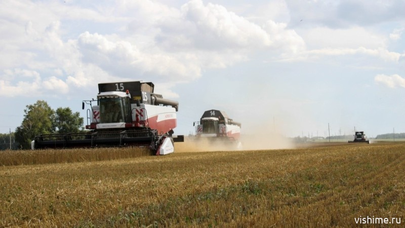 Аграрии Ишимского округа убрали более 70 % посевных площадей