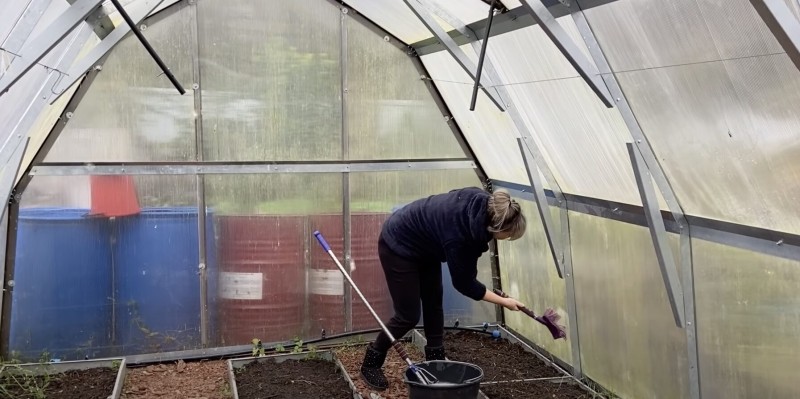 Теплица после сбора урожая