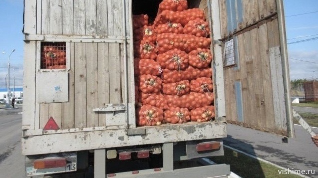 40 тонн лука из Казахстана были остановлены Тюменскими таможенниками