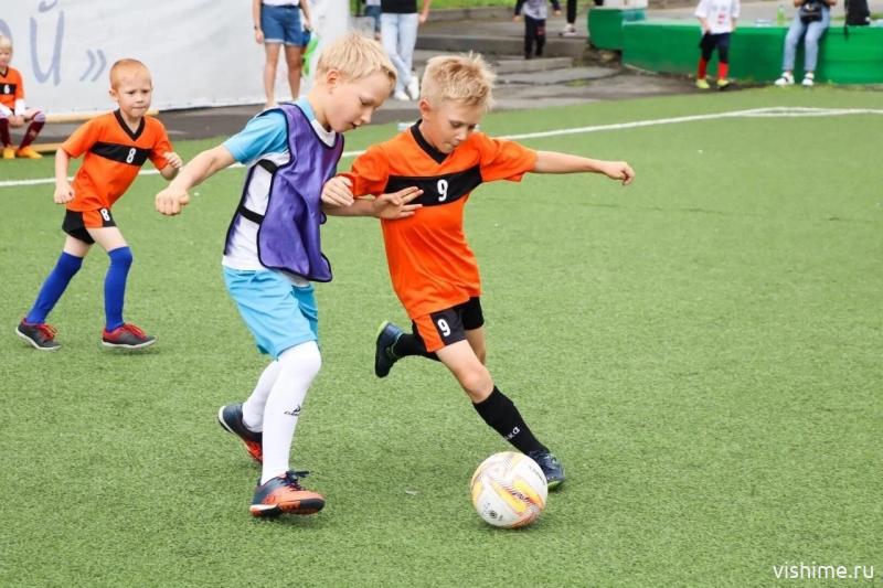 Праздник спорта, творчества и музыки