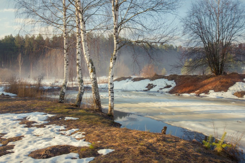 Гормон радости уже в пути: встречаем весну правильно