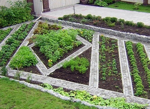 Весенняя подготовка грядок: главные правила