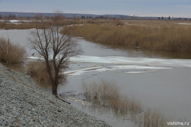 Уровень воды в реке Ишим (г. Ишим) на сегодня