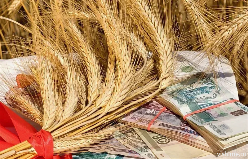 Стабильно со Сбером: в Тюменской области в 2025 году более чем на 40% вырос объем льготного кредитования аграриев