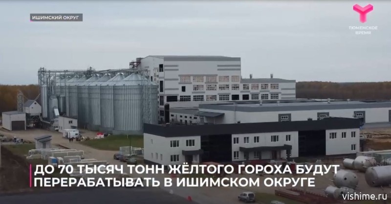 Новый завод по переработке гороха под Ишимом откроется в следующем году
