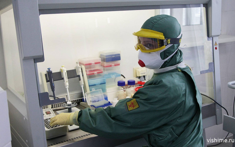 Диагноз "коронавирус" был поставлен более 500 тысяч россиян