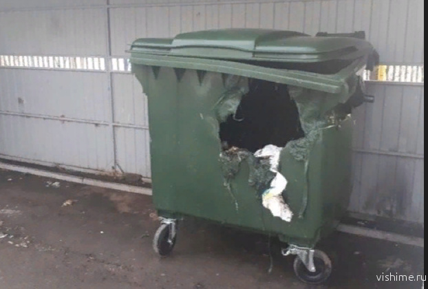 Ишимцы едва не сожгли суперпрочный контейнер для мусора 