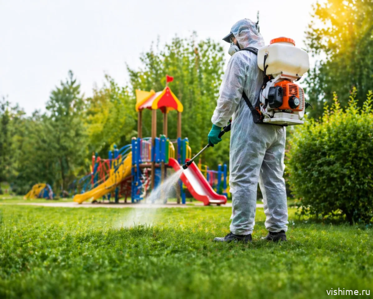 Почти 100 объектов обработают от клещей в Ишиме: парки, школы, сады и кладбище