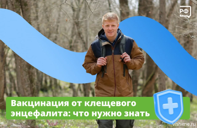 Клещевой энцефалит: кому нужна прививка и как её сделать