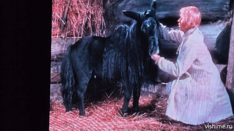 От чёрно-белого к цветному: ишимцы увидели, как реставрировали «Конька-Горбунка»