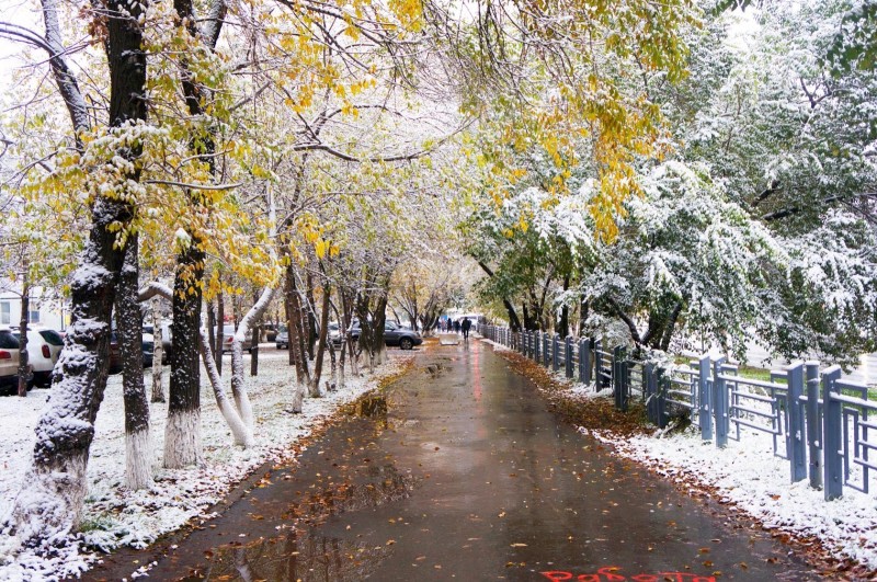 Чем заняться в ноябре: идеи для отдыха и саморазвития