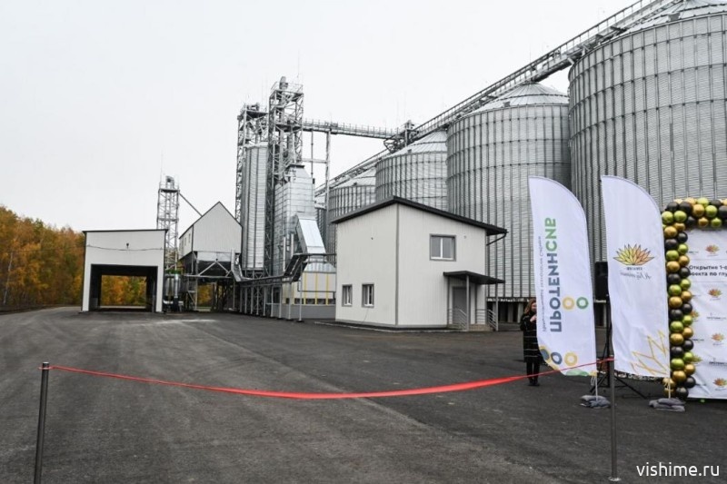 Гороховый протеин из Ишима покоряет Латинскую Америку