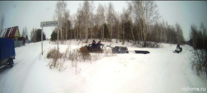 Спасатели нашли заблудившуюся в лесу под Ишимом семью с детьми