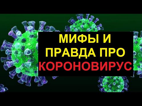 Мифы и ложные представления о коронавирусе