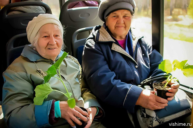 Дачные маршруты в Ишиме: автобус №15 начнёт ходить с 1 мая