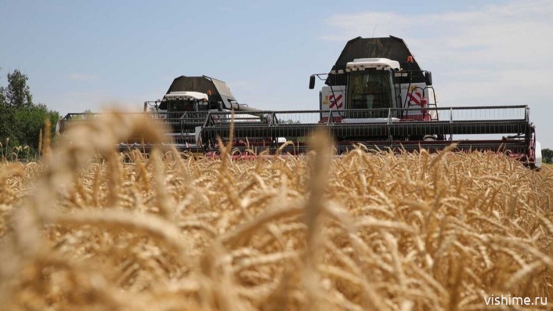 Ишимские аграрии наверстывают упущенное время