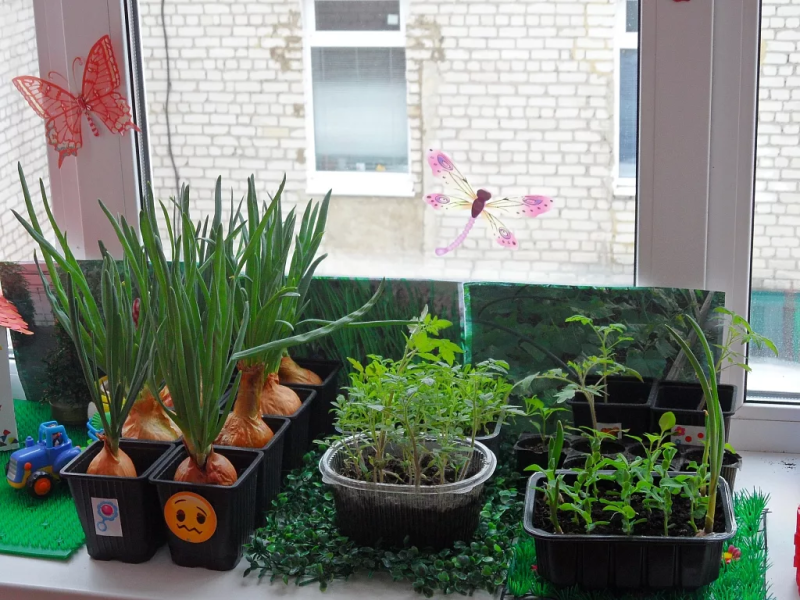 Секрет круглогодичного урожая