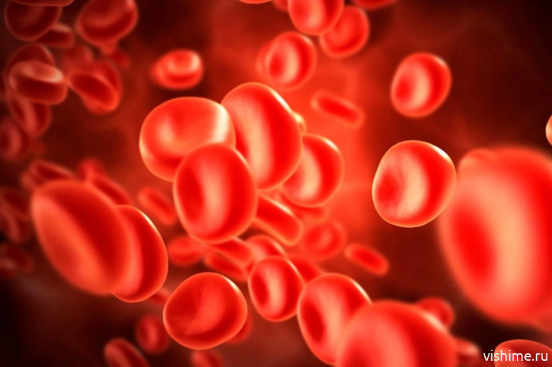 Группа крови: тайны, мифы и реальность