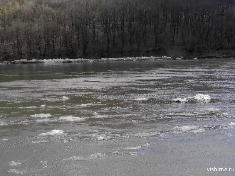 Уровень воды в реке Ишим за сутки поднялся на 40 см