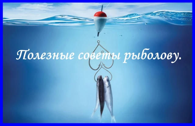 5+5 хитрых лайфхаков и полезных советов для рыбалки