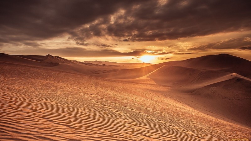 Что было раньше на месте самой большой пустыни мира: ученые дали ответ