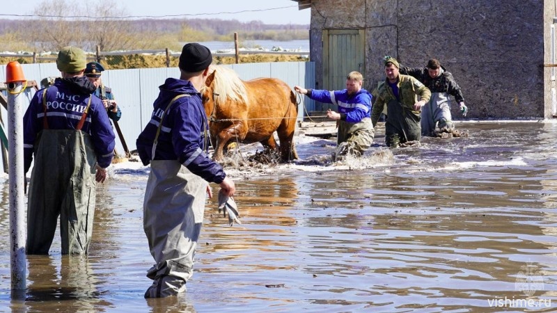В Абатском районе сотрудники МЧС России спасли домашних животных