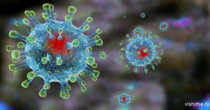 Оперативный штаб озвучил статистику по заболеваемости новой коронавирусной инфекцией в России